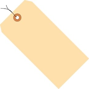AVIDITI Shipping Tags Wired, 4 3/4"L x 2 3/8"W 1000-Pack | Red Repair Tag & Labels for Packing, Moving and Storage 13 PT