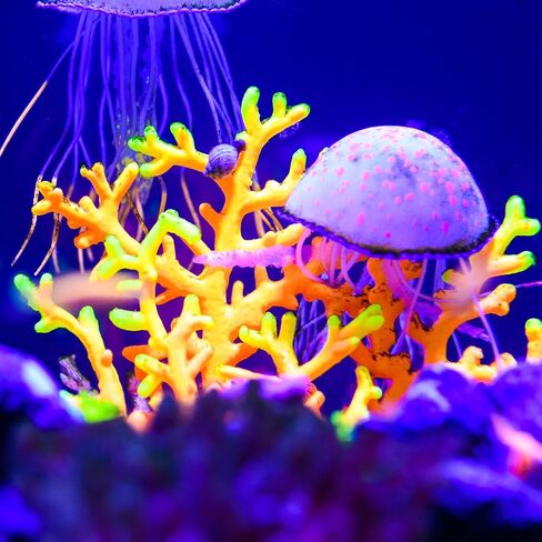 VOCOSTE Aquarium Simulation Coral Sea Urchins, Silicone Fluorescent Coral Glow Ornaments Fish Tank Landscape Decoration, Pink in Saudi Arabia