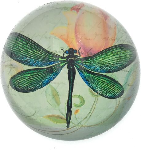 BOYIRI Value Arts Green Dragonfly Glass Dome ثقالة الورق، مع نص فرنسي، قطر 3 بوصات in Kuwait