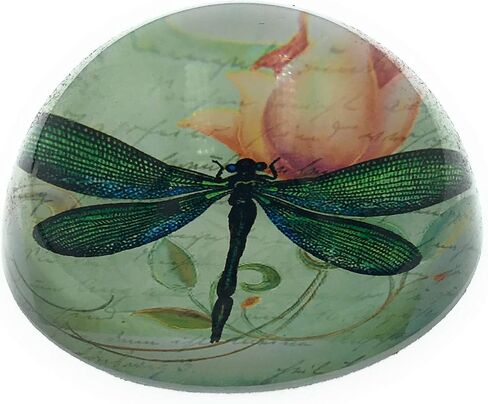 BOYIRI Value Arts Green Dragonfly Glass Dome ثقالة الورق، مع نص فرنسي، قطر 3 بوصات in Kuwait
