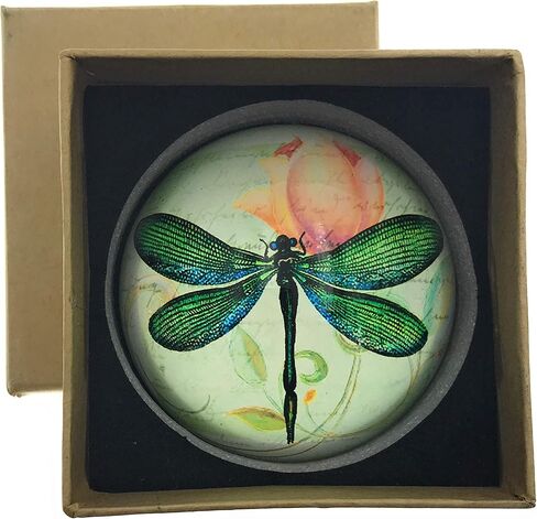 BOYIRI Value Arts Green Dragonfly Glass Dome ثقالة الورق، مع نص فرنسي، قطر 3 بوصات in Kuwait