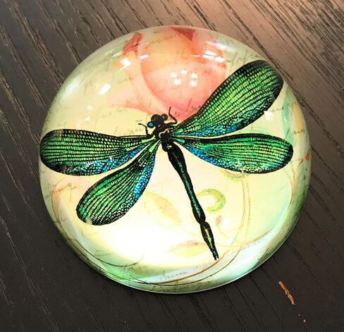 BOYIRI Value Arts Green Dragonfly Glass Dome ثقالة الورق، مع نص فرنسي، قطر 3 بوصات in Kuwait