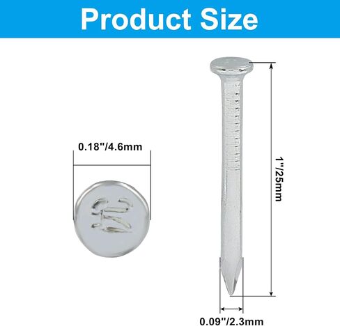 Litoexpe 800 Pcs 1 Inch Stainless Steel Hardware Nails, 25mm Round Head Nails for Wall & Wood Finishing and Carpentry Projects in Kuwait