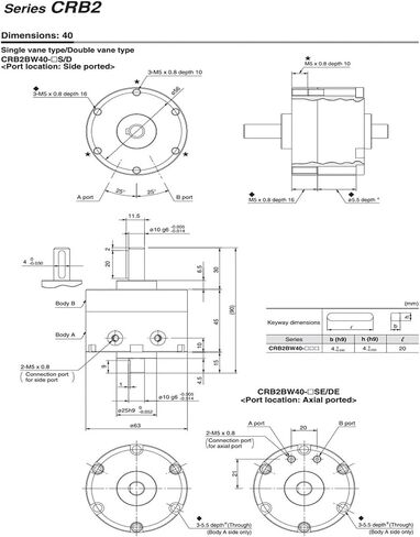 أسطوانة تأرجح دوارة ريشة CRB2BW10-90S CDRB2BW15-180S CRB2BW20-270S CDRB2BW30-90S CRB2BW40-180S CDRB2BW30-180S CDRB2BWU30-270S (2 قطعة ehch one) in Kuwait