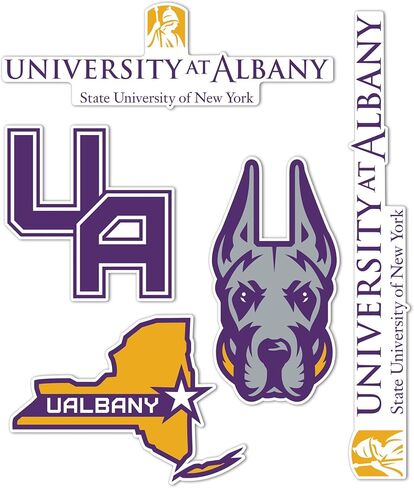 Desert Cactus University at Albany Sticker Great Danes UAlbany SUNY Vinyl Decals Laptop Water Bottle Car Scrapbook T2 (Type 2-3) in Kuwait