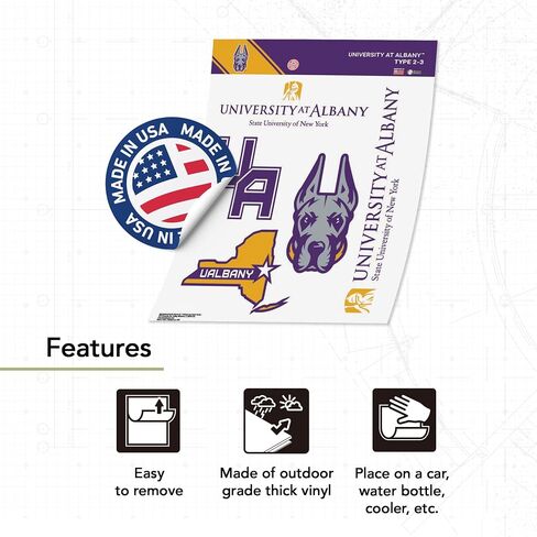 Desert Cactus University at Albany Sticker Great Danes UAlbany SUNY Vinyl Decals Laptop Water Bottle Car Scrapbook T2 (Type 2-3) in Kuwait