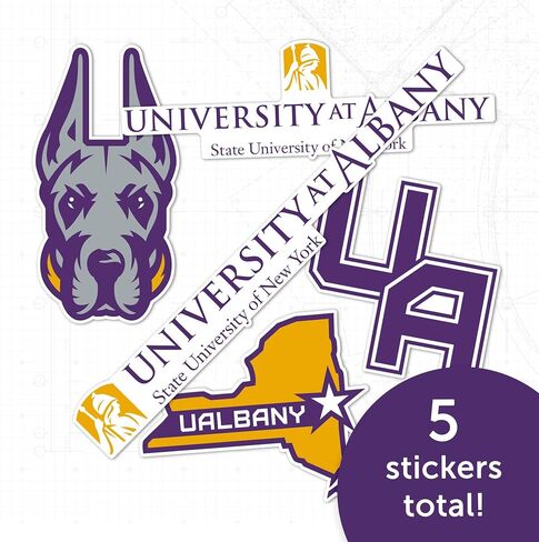 Desert Cactus University at Albany Sticker Great Danes UAlbany SUNY Vinyl Decals Laptop Water Bottle Car Scrapbook T2 (Type 2-3) in Kuwait