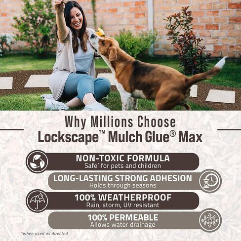 مجموعة PetraMax Lockscape Mulch Glue للمناظر الطبيعية - 1 جالون غراء Mulch (عبوتان) + بخاخ مضخة Petratools HD201 سعة 2 جالون، مثبت المهاد لأسرة الحديقة واللحاء وقش الصنوبر والمناظر الطبيعية in Kuwait