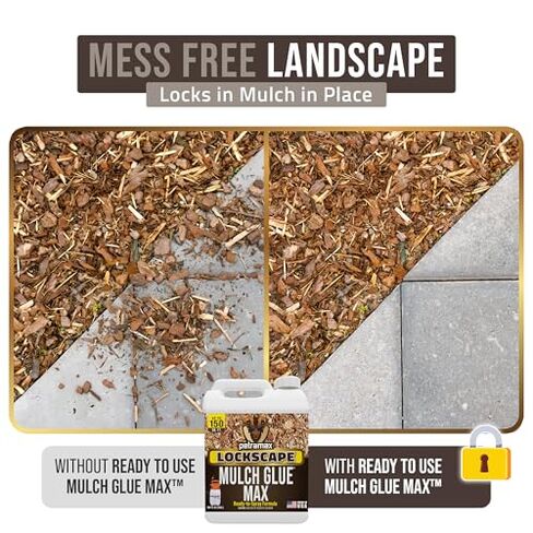 مجموعة PetraMax Lockscape Mulch Glue للمناظر الطبيعية - 1 جالون غراء Mulch (عبوتان) + بخاخ مضخة Petratools HD201 سعة 2 جالون، مثبت المهاد لأسرة الحديقة واللحاء وقش الصنوبر والمناظر الطبيعية in Kuwait