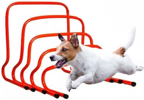Height Adjustable Hurdles, 5 Pack Dog Training Hurdles, 6in/ 9in/ 12in/ 20in Different Height Sports Hurdle for Track & Field, Football, Mini Agility Athletic Trainer, 50cm(20") in Kuwait