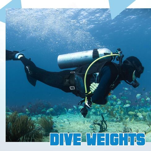 Tellegloww 15 Pcs Scuba Weight Belt Set with 4 Coated Lead Weights, Nylon Quick-Release Belt, Weight Pouches, Keepers & D-Ring Holders for Freediving Spearfishing Snorkeling in Saudi Arabia