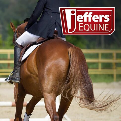 زمام حصان من الجلد الغربي ذو الزيت الثقيل من Jeffers Equine LuxeLeather - أنماط مقسمة ومربوطة وحبال مع ربطة عنق أو أطراف المفاجئة لركوب الخيل والتدريب in Kuwait