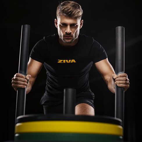 ZIVA Steel Performance Sled، أسود، قضبان دفع مزدوجة الجوانب، 2.8 لتر × 1.6 عرض × 3 ارتفاع، 57 رطلاً، عمود تحميل مركزي يناسب 10 ألواح ممتصة للصدمات، لتدريب القوة والتكييف in Kuwait