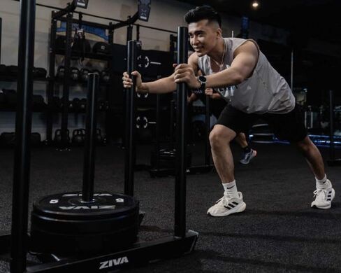 ZIVA Steel Performance Sled، أسود، قضبان دفع مزدوجة الجوانب، 2.8 لتر × 1.6 عرض × 3 ارتفاع، 57 رطلاً، عمود تحميل مركزي يناسب 10 ألواح ممتصة للصدمات، لتدريب القوة والتكييف in Kuwait