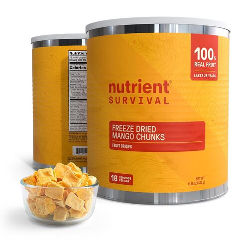 Freeze-Dried Strawberries – Premium Sliced | #10 Can | 25-Year Shelf Life | Emergency Food & Clean Snacking in Saudi Arabia