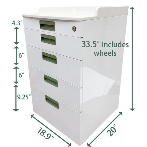 4 Drawers Mobile Storage Cabinet with 2 Partition Pallets | Stainless Steel Construction, Dental Assistant's Mobile Cabinet, Silent Self-Closing Slides, Dental Organization Trolley in Kuwait