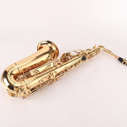 Direct supply by the manufacturer. Mid-range saxophone in the key of E-flat. Professional-grade brass manufacturing for beginners and advanced players. in Kuwait