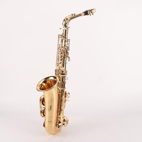 Direct supply by the manufacturer. Mid-range saxophone in the key of E-flat. Professional-grade brass manufacturing for beginners and advanced players. in Kuwait