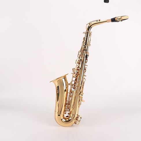 Direct supply by the manufacturer. Mid-range saxophone in the key of E-flat. Professional-grade brass manufacturing for beginners and advanced players. in Kuwait