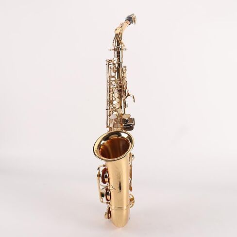 Direct supply by the manufacturer. Mid-range saxophone in the key of E-flat. Professional-grade brass manufacturing for beginners and advanced players. in Kuwait