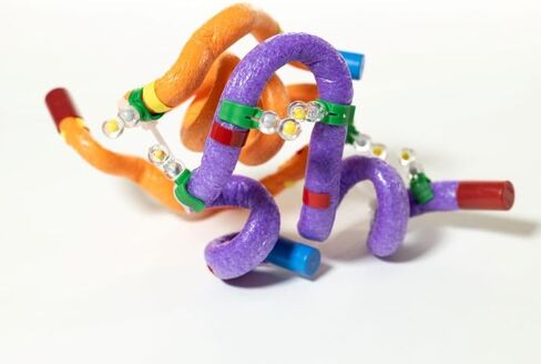 Insulin MRNA to Protein Kit© 1-Group Set in Kuwait