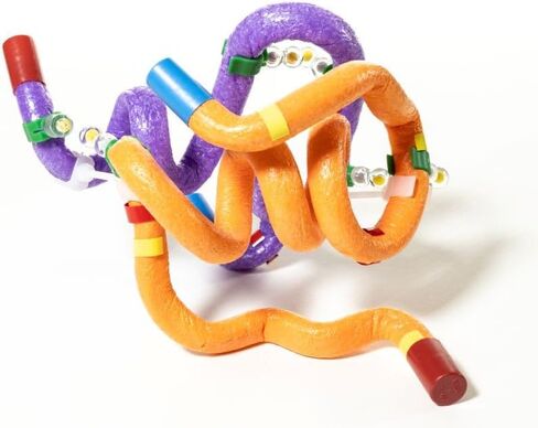 Insulin MRNA to Protein Kit© 1-Group Set in Kuwait