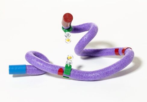 Insulin MRNA to Protein Kit© 1-Group Set in Kuwait