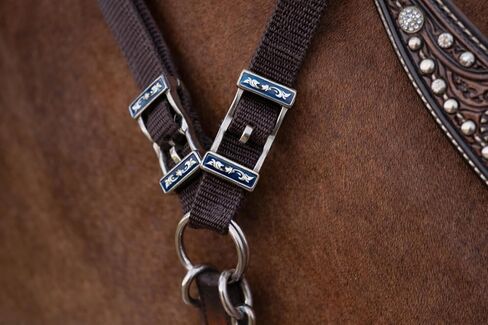 CHALLENGER Lot of 12 Conway Buckles 1" Nickel Horse Saddle Headstall Reins Tack 403RT03-12 in Kuwait