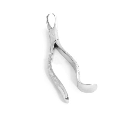 Dental Extracting Forceps #16 Dental Instruments Stainless Steel in Kuwait