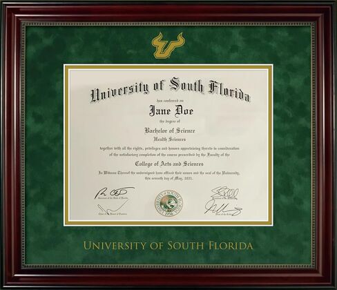 University of South Florida Diploma Frame - Officially Licensed | Cherry Finish Wood with Bead Frame, Green Suede and Gold Mats, Gold Embossed Bulls Logo and USFL Wordmark Lettering. in Kuwait