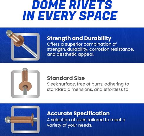 Fastenere Copper Pop Rivets - 1/8" x 1/4" (100 Pack) Copper Body Steel Mandrel, Heavy Duty, Open-End, Dome-Head Blind Rivets, Corrosion-Resistant & High Shear Strength, 4-4 Gap .188" - .250" in Kuwait