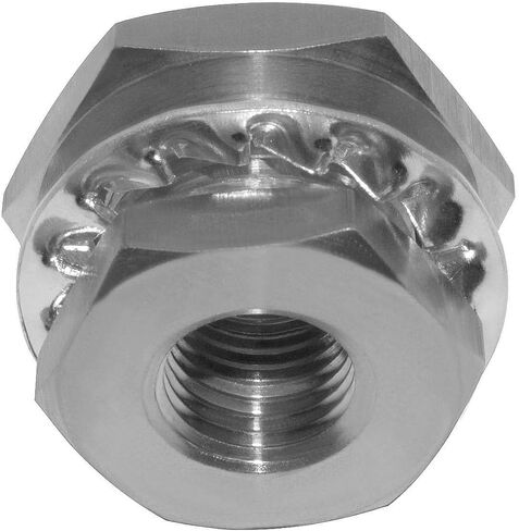 Beduan 1PCS Stainless 1/8 NPT Female Bulkhead Coupler Thru-bulk Pipe Fitting (Full Female Thread) in Kuwait