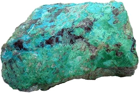 698 GRAM 24.6 OUNCE QUANTUM QUATTRO CHRYSOCOLLA CABOCHON CAB ROUGH CS15/51526 in Kuwait