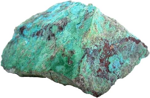 698 GRAM 24.6 OUNCE QUANTUM QUATTRO CHRYSOCOLLA CABOCHON CAB ROUGH CS15/51526 in Kuwait