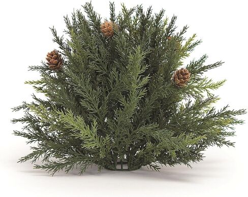 Arborvitae Half Orb 8.5" D in Kuwait
