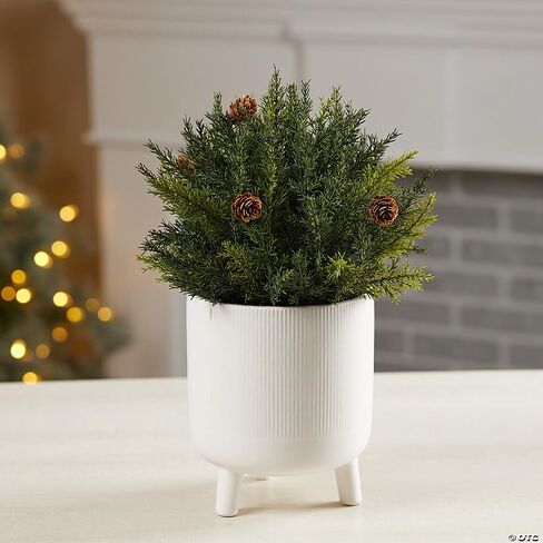 Arborvitae Half Orb 8.5" D in Kuwait