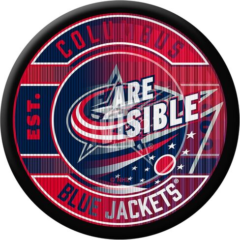 قرص الهوكي العدسي ثلاثي الأبعاد NHL - عنصر لهواة الجمع in Kuwait