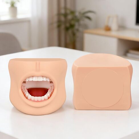 Teeth Model with Cheek Structure, Dental Typodont Teeth Model for Dental Care Demonstration, Tooth Model for Dental Education and Teaching in Kuwait