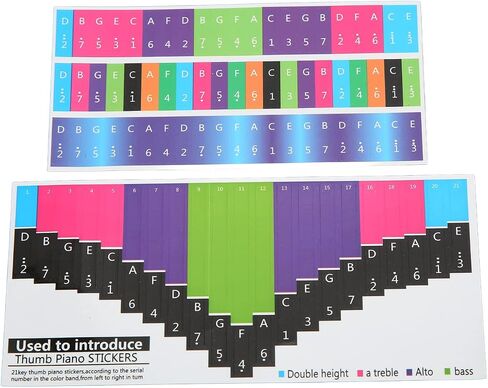 Generic Color Kalimba Sticker, Colorful Kalimba Scale Sticker Note Thumb Piano Thumb Piano Key Musical Note Decoration for Beginner (Universal 21 tone) in Kuwait