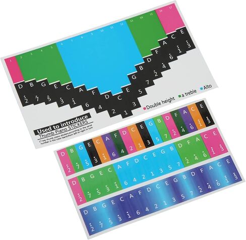 Generic Color Kalimba Sticker, Colorful Kalimba Scale Sticker Note Thumb Piano Thumb Piano Key Musical Note Decoration for Beginner (Universal 17 tone) in Kuwait