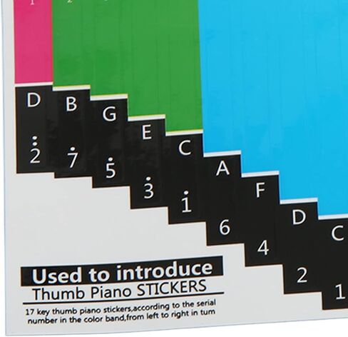 Generic Color Kalimba Sticker, Colorful Kalimba Scale Sticker Note Thumb Piano Thumb Piano Key Musical Note Decoration for Beginner (Universal 17 tone) in Kuwait