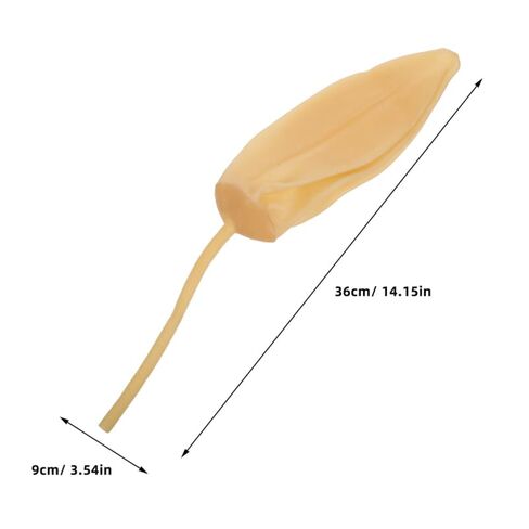 Mobestech 4Pcs Inflatable Latex Gas Sampling Bladders with Clips Laboratory Balloon Collector Tool for Industrial Environmental Gas Collection in Kuwait