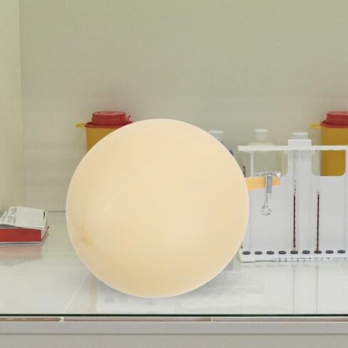 Mobestech 4Pcs Inflatable Latex Gas Sampling Bladders with Clips Laboratory Balloon Collector Tool for Industrial Environmental Gas Collection in Kuwait
