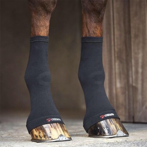 Catago Fir Tech Fetlock Socks Black One Size in Kuwait