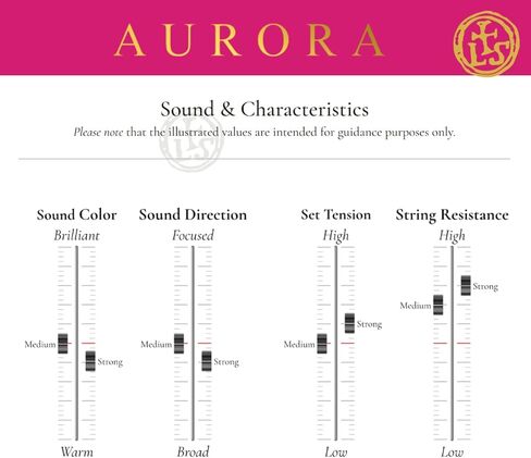 Larsen Aurora Violin Strings – Medium Tension Set with Silver D – Enhanced Clarity and Tonal Colour in Kuwait