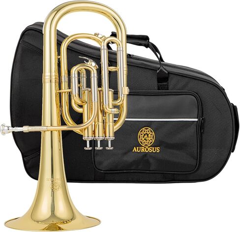 ajh 501g alto horn e flat 0 465" bore 8 07" yellow brass bell gold brass leadpipe monel pistons case mouthpiece in Kuwait