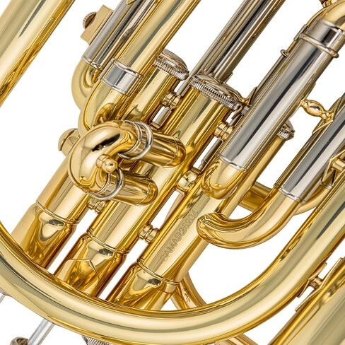 ajh 501g alto horn e flat 0 465" bore 8 07" yellow brass bell gold brass leadpipe monel pistons case mouthpiece in Kuwait