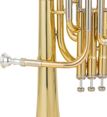 ajh 501g alto horn e flat 0 465" bore 8 07" yellow brass bell gold brass leadpipe monel pistons case mouthpiece in Kuwait