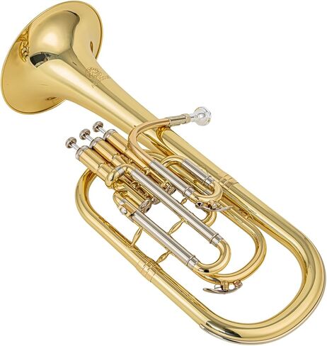 ajh 501g alto horn e flat 0 465" bore 8 07" yellow brass bell gold brass leadpipe monel pistons case mouthpiece in Kuwait