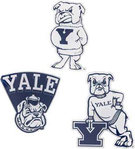 Desert Cactus Yale University Acrylic Magnet 3 Pack Bulldogs Decorative Design Officially Licensed (Magnet Set B) in Kuwait